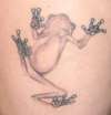 Frog Tattoo