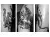 Nidhögg tattoo