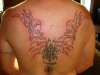 Phoenix - Unfinished tattoo