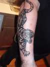 Tiger tattoo