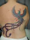 phoenix tattoo