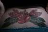 rose & feather tramp stamp tattoo