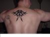 Tribal back tattoo