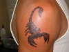 SCORPIN tattoo