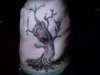 tree tattoo