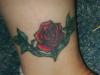rose tattoo