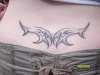 tribal tattoo