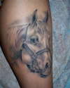 Portrait of my horse tattoo