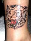 tiger tattoo