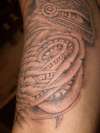 100$ ROSE tattoo