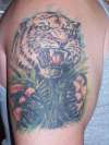 Tiger On Bicep tattoo