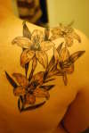 Tiger Lily tattoo