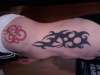 coheed tat tattoo