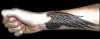 Angel wing, Wrist tattoo