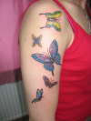 butterflys tattoo