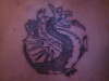 lil dragon tattoo