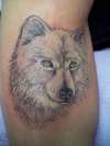 White Wolf tattoo