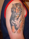 leaping tiger tattoo
