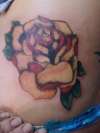 rose tattoo