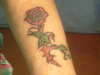 The lone rose... tattoo