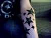 7 stars & 7 shamrocks tattoo