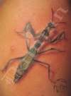 mantis tattoo