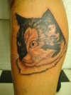 Cat 1 tattoo