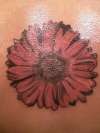 Daisy tattoo