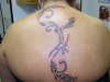 tribal tattoo