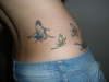 Butterfly Close Up tattoo