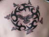 tribal w/ hawks tattoo