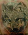 Wolf tattoo