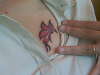 katie-butterfly tattoo