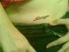 Always tattoo
