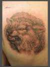 Angery Wolf tattoo