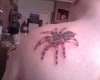 3d tarantula tattoo