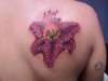 Right Shoulder tattoo