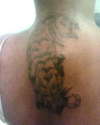 TIGER TAT tattoo