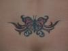 butterfly tattoo