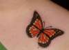 Butterfly tattoo
