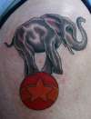 Elephant balls tattoo