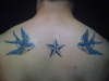 Swallows and nautical star. tattoo