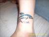 Blue Dolphin tattoo