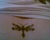 dragonfly tattoo