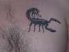 Zodiac tattoo