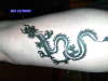 my new dragon tat tattoo