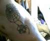 spider tattoo