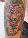 Tiger in jungle tattoo