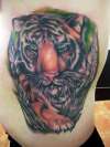 tiger! durrr! tattoo