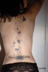 butterfly tattoo